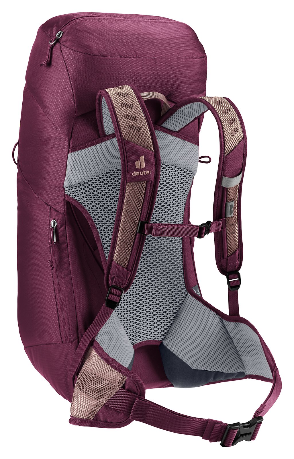 Deuter AC Lite 28 SL in Ashrose Cassis, rear three-quarter view of mesh back and straps