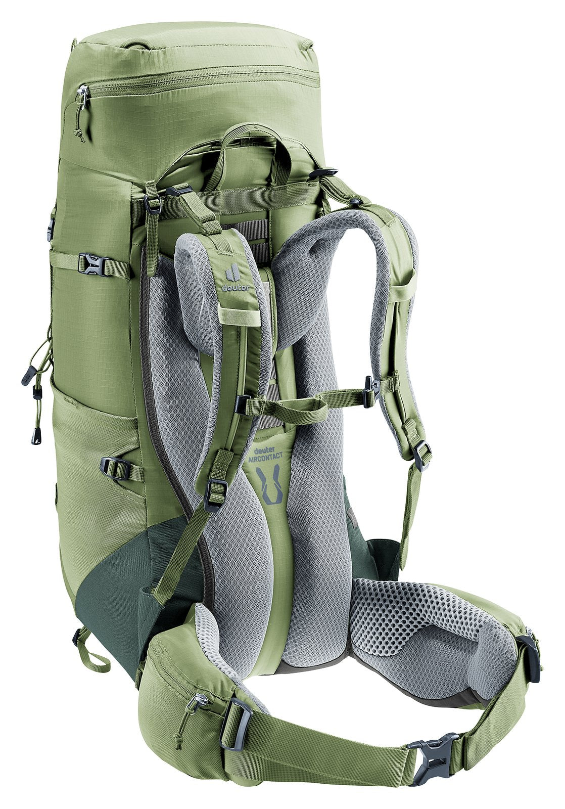 Deuter Aircontact Lite 35 + 10 SL in Grove Ivy, rear three-quarter view of the harness and hip belt