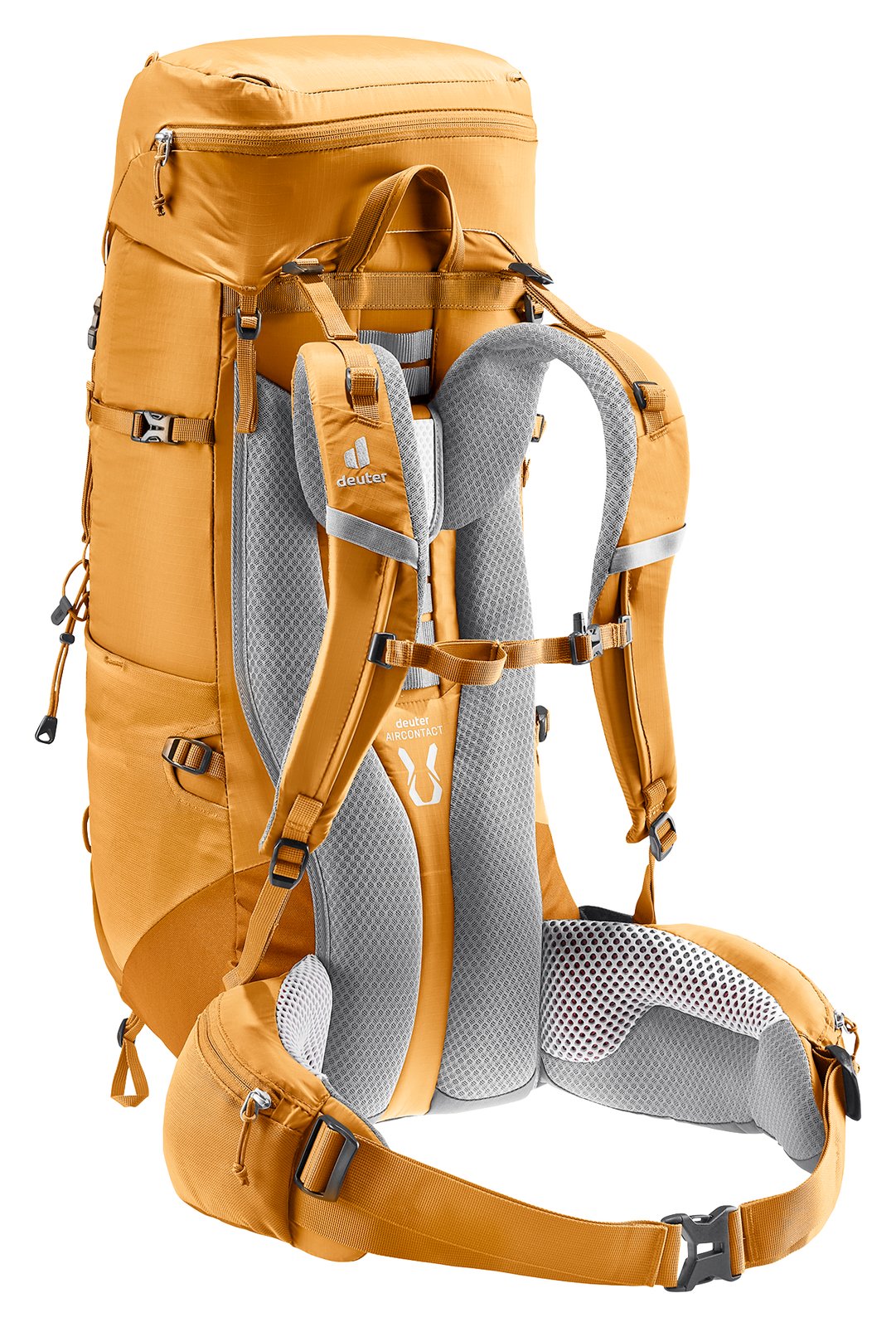 Deuter Aircontact Lite 40 + 10 in Amber Maple, rear three-quarter view of the back system