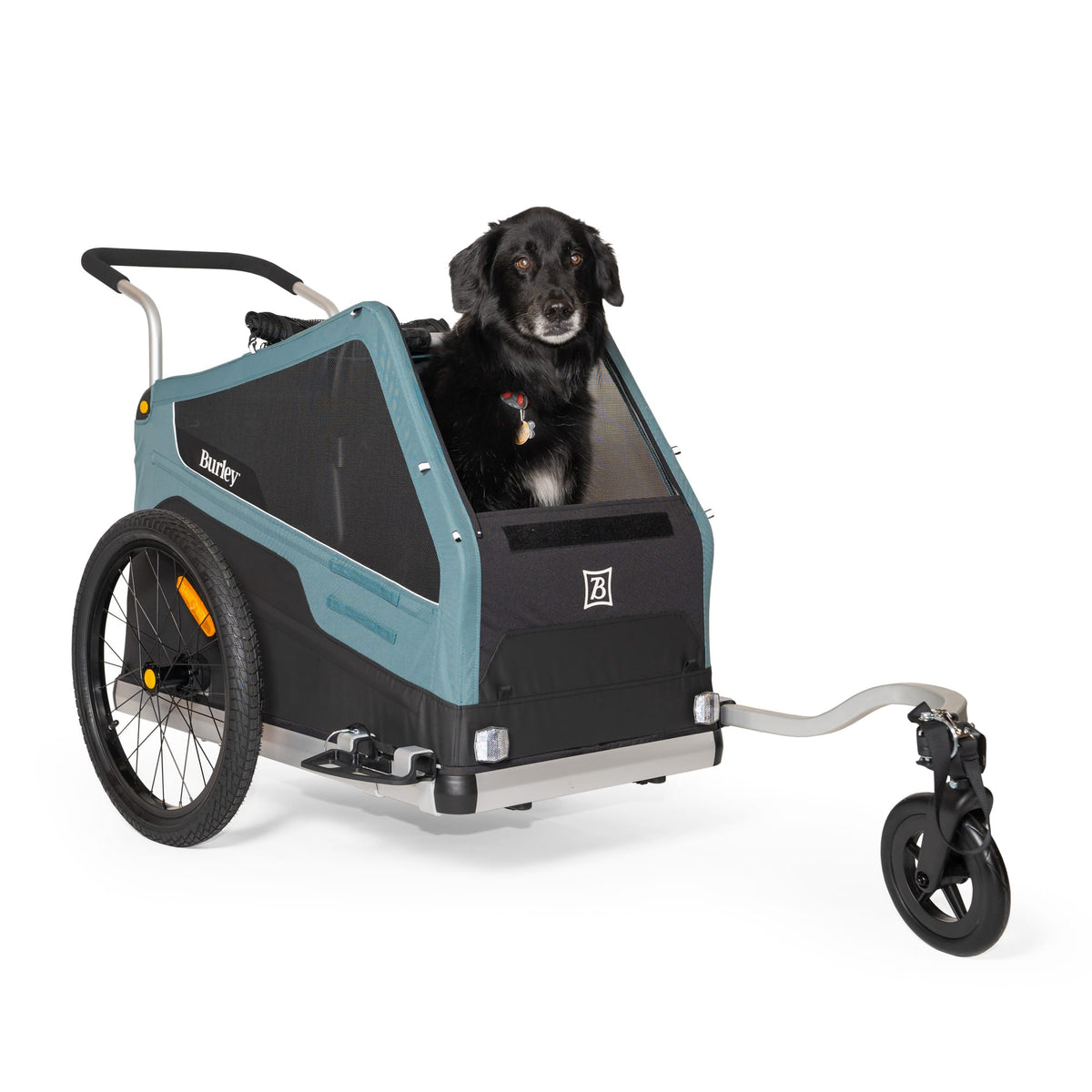 Black dog sitting up inside a Burley Bark Ranger in stroller mode