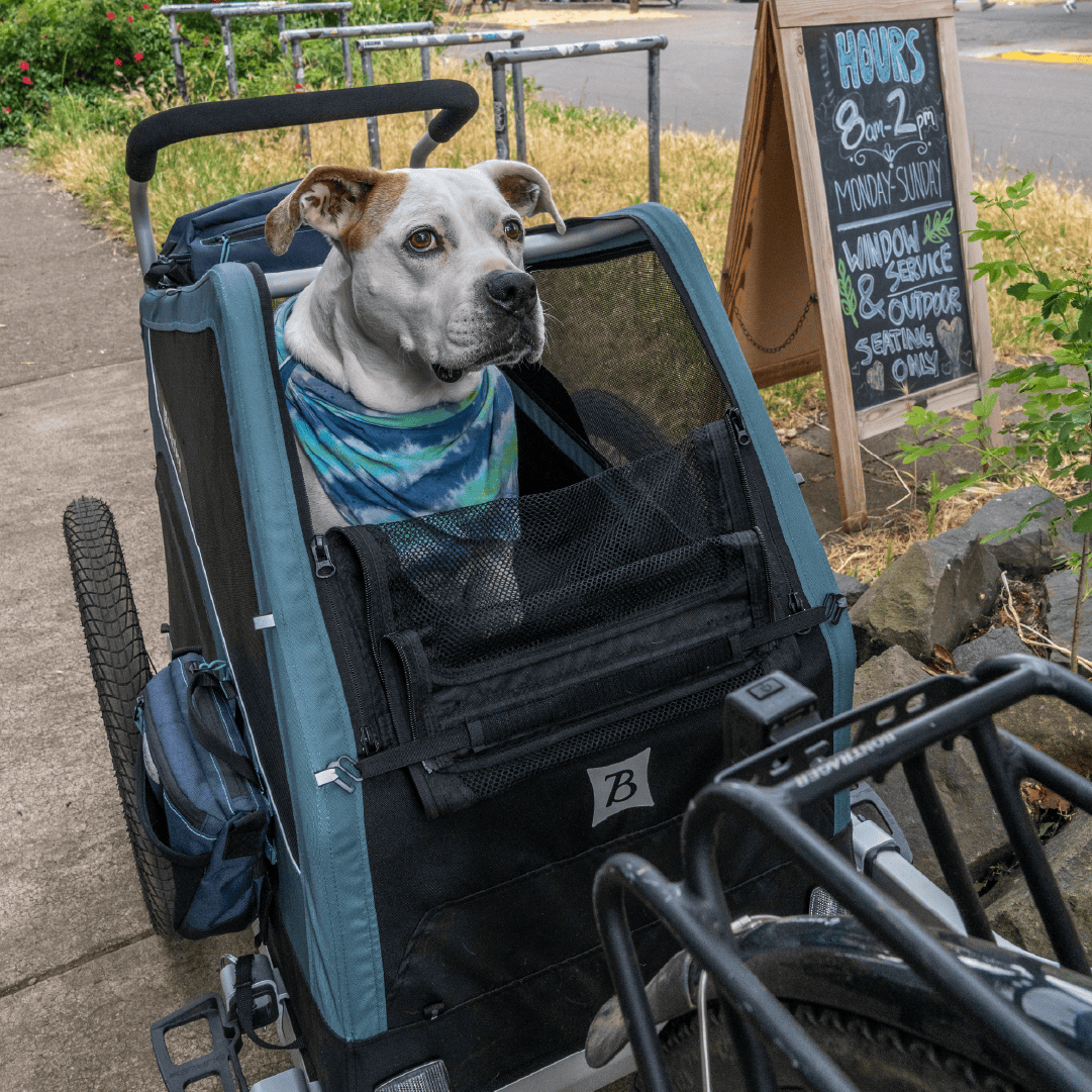 Dog in a bandana sitting in a Burley Bark Ranger parked beside a bike