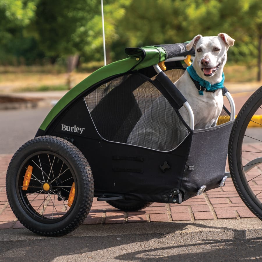 Burley Tail Wagon