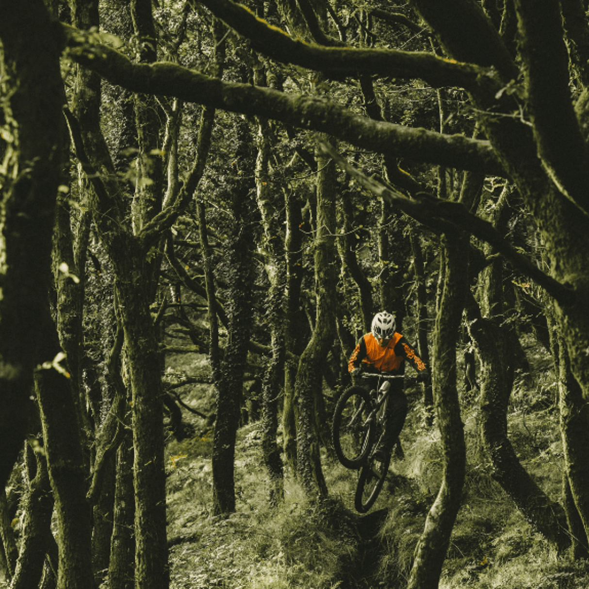 Goodyear MTB Tyre Newton MTF Enduro Tubeless Complete