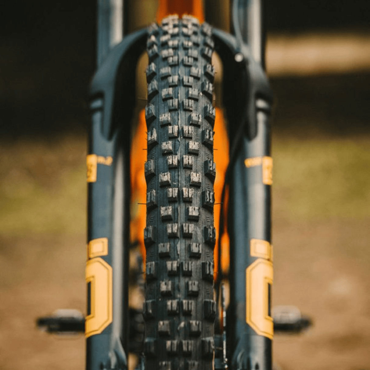 Goodyear MTB Tyre Newton MTF Enduro Tubeless Complete