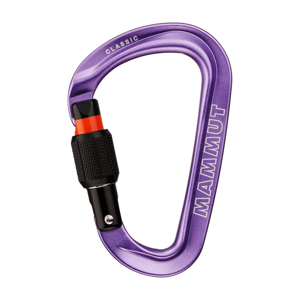 Mammut Carabiner Alpine Calamint Classic HMS Screwgate Carabiner 2040-02470