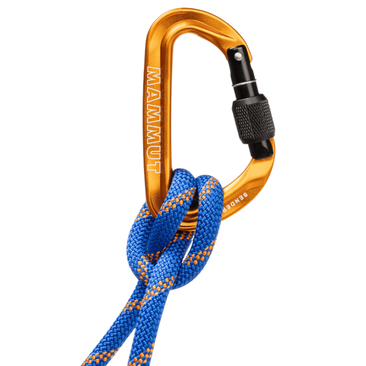 Mammut Carabiner Sender Screwgate Carabiner 2040-02450-1571-1