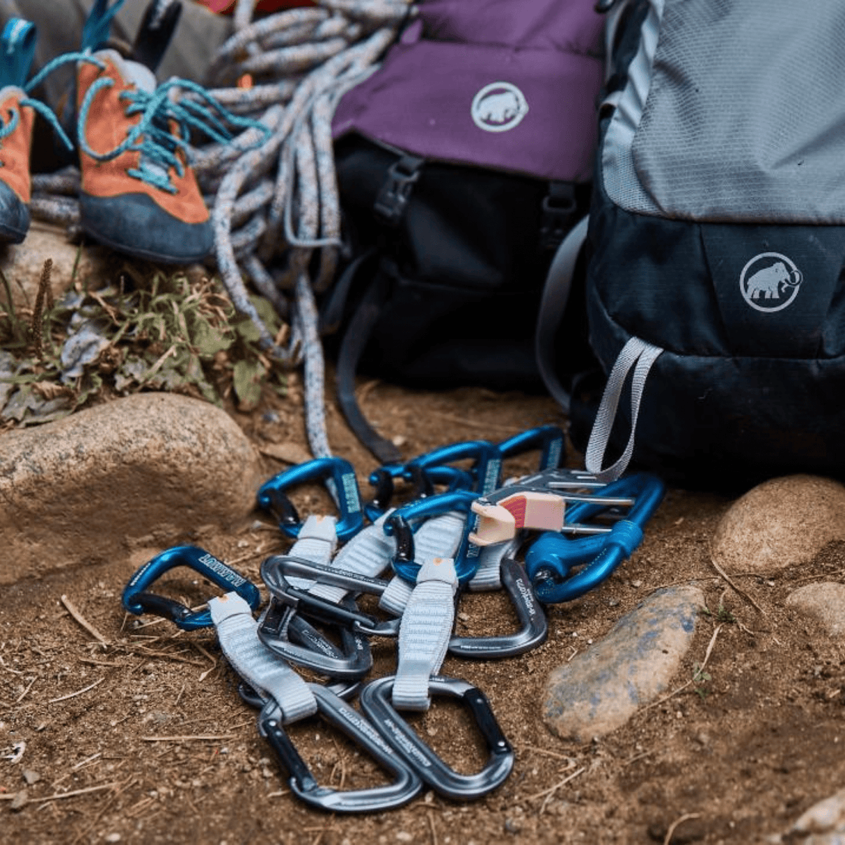 Mammut Carabiner Workhorse Keylock Quickdraws