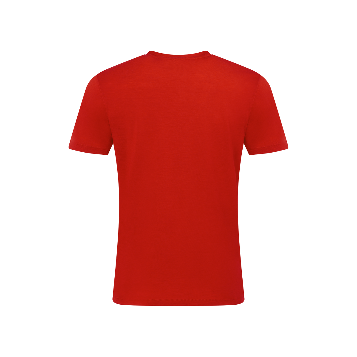 Men's Merino T-Shirt