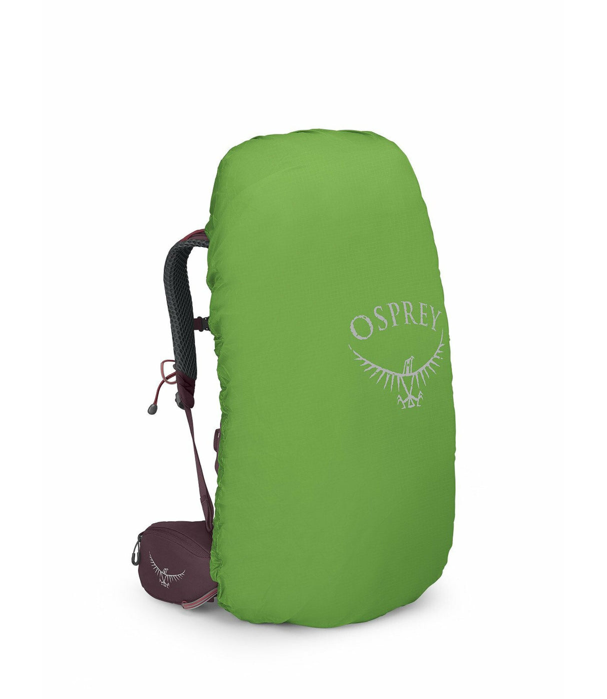 Osprey Backpacks Elderberry Purple / WM/L Kyte 48 Womens Backpack 10004785