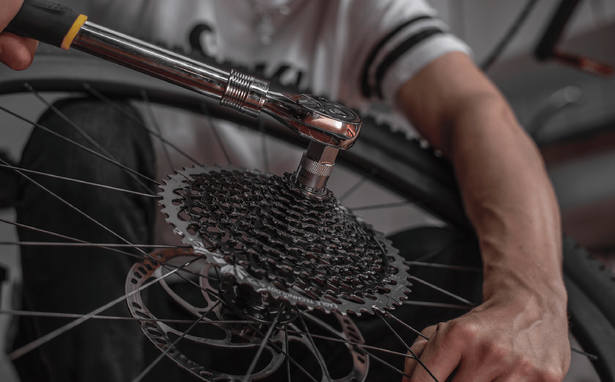 Topeak Bicycle Tools Freewheel Remover TPSSP39