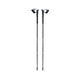 Winter Poles
