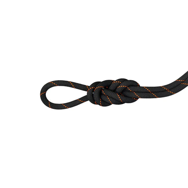 9.9 Gym Workhorse Dry Rope