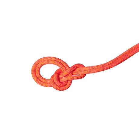 9.8 Crag Dry Rope