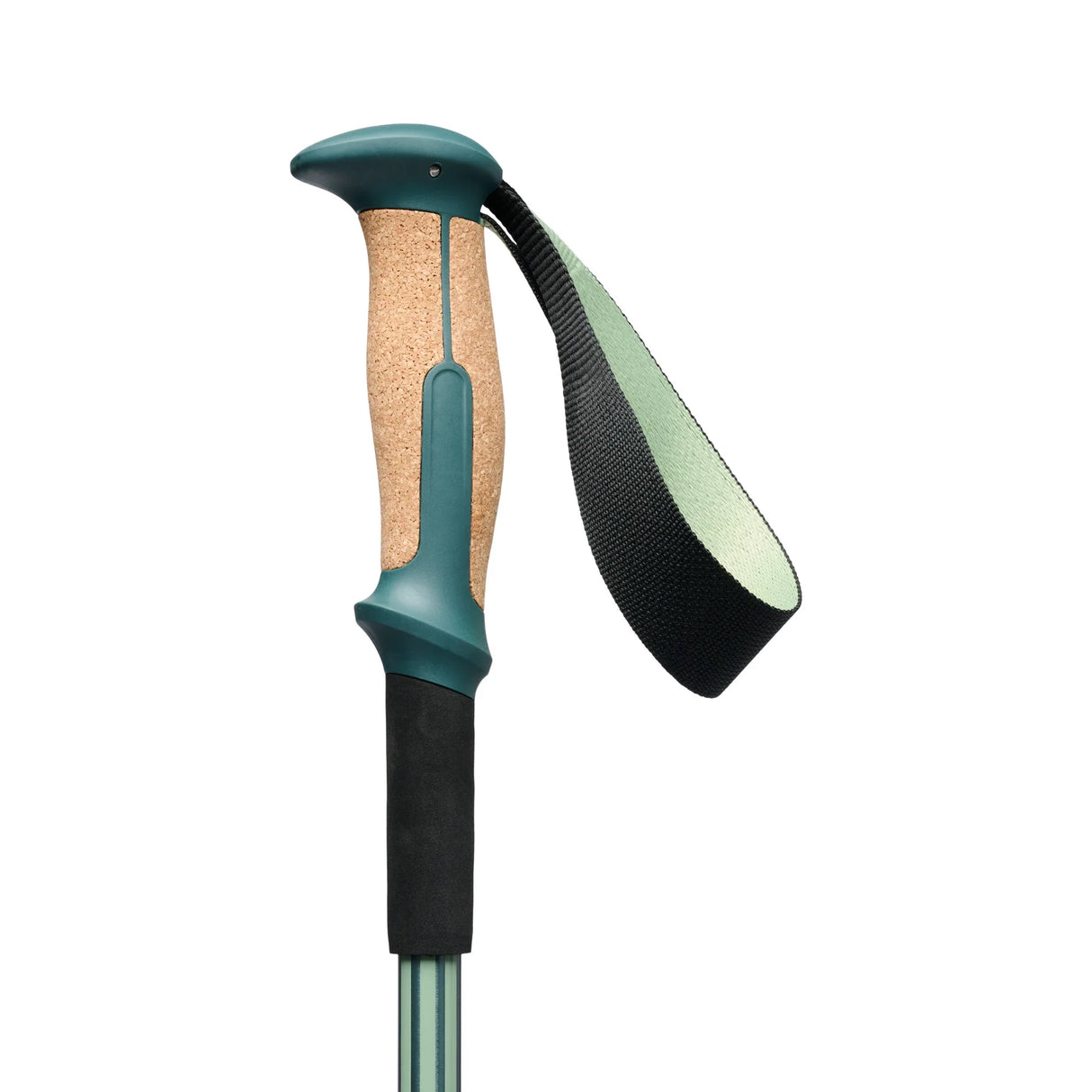 Black Diamond Trail Vista Shock Trekking Poles