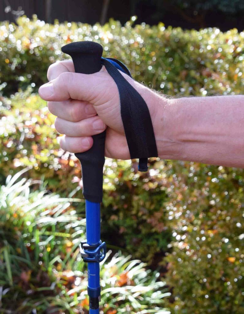 Distance Carbon FLZ Trekking Poles