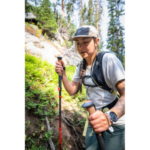 Pursuit Carbon FLZ Trekking Poles
