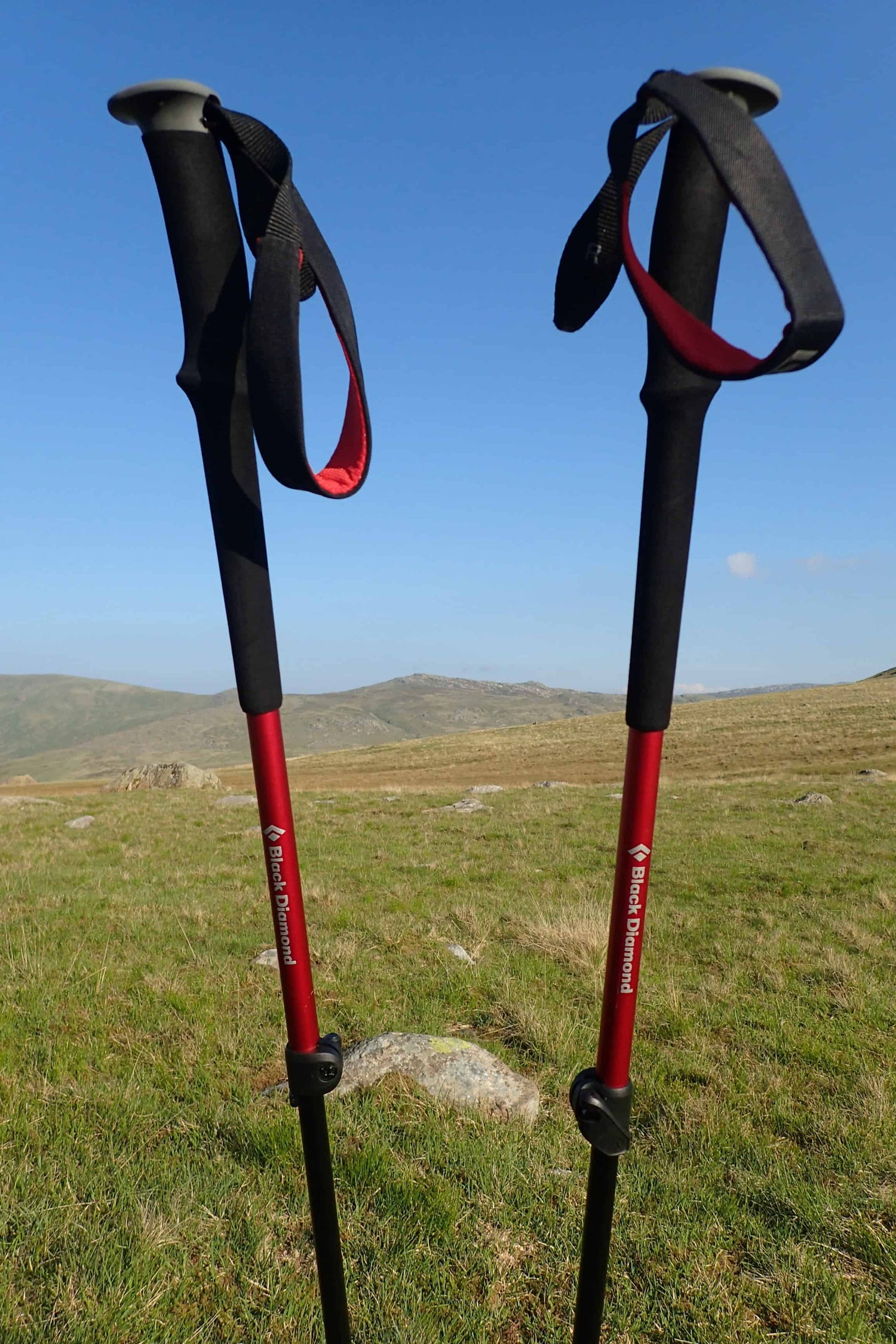 Trail Trekking Poles