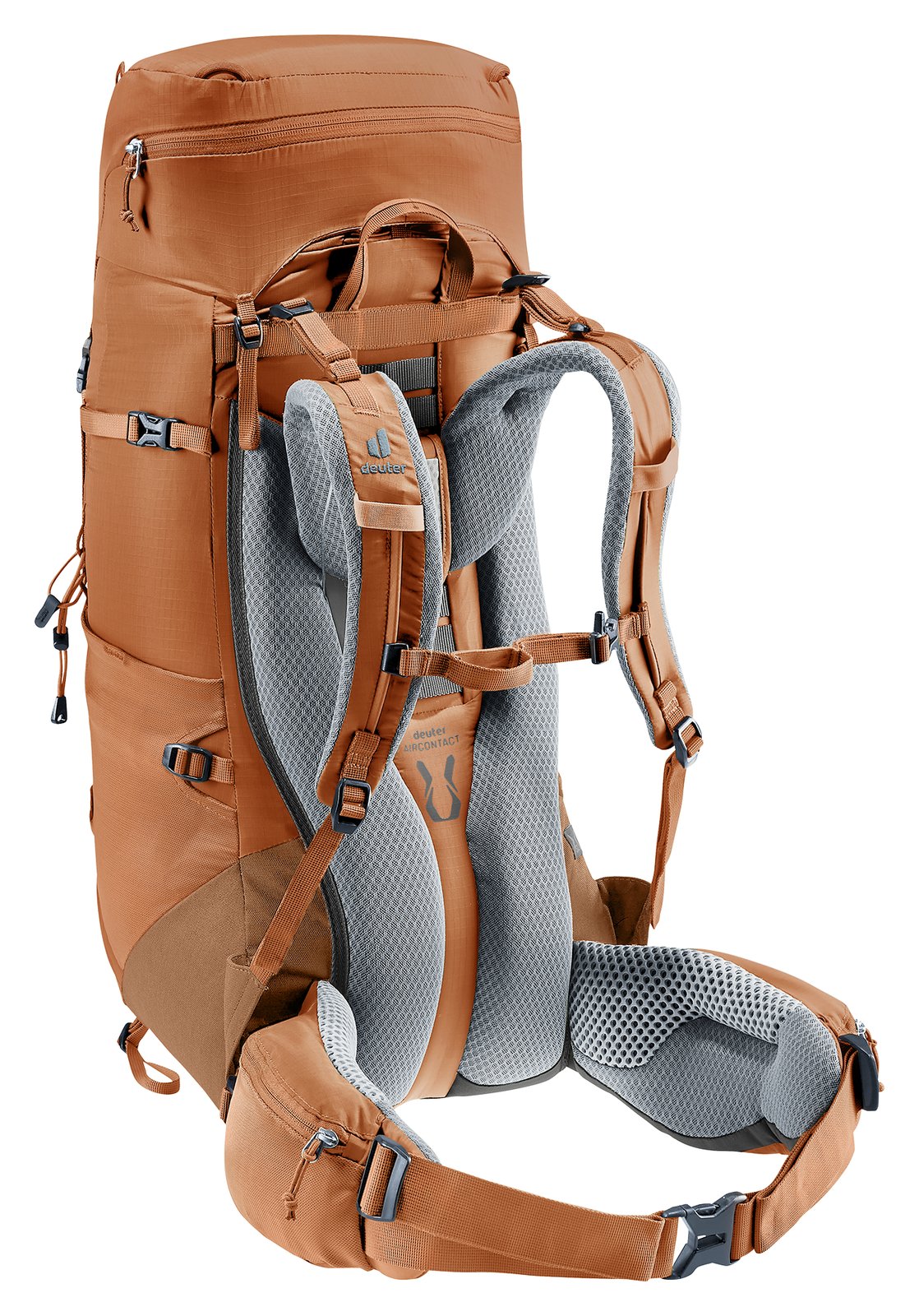 Deuter Aircontact Lite 35 + 10 SL in Pecan Mocha, rear three-quarter view with stabiliser straps