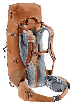 Deuter Aircontact Lite 35 + 10 SL in Pecan Mocha, rear three-quarter view with stabiliser straps