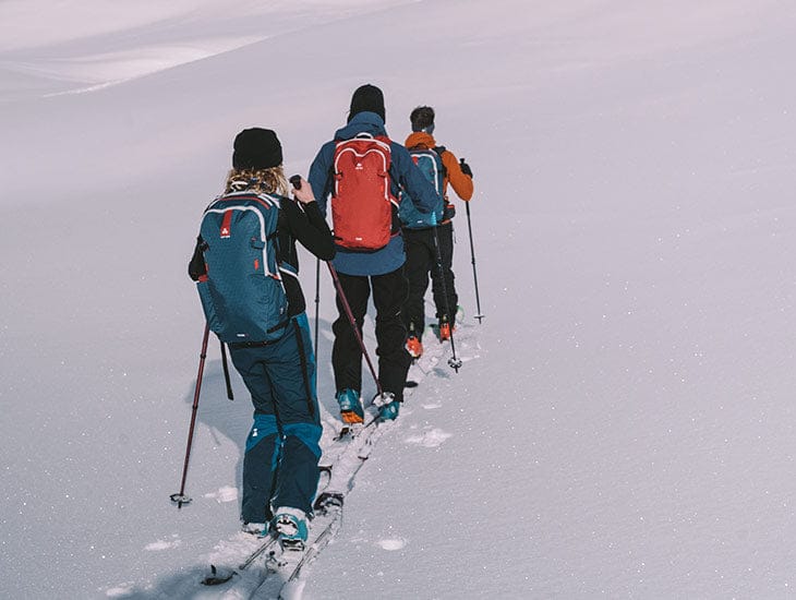 Arva Ski Backpacks Tour 25 Backpack