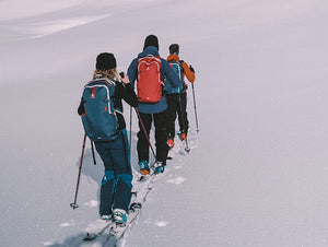 Arva Ski Backpacks Tour 25 Backpack