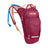 Camelbak Hydration Pack Berry Mini M.U.L.E CB2814604000X