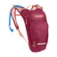 Camelbak Hydration Pack Berry Mini M.U.L.E CB2814604000X