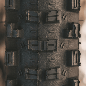 Goodyear MTB Tyre Black / 29x2.4 Newton MTR Enduro Tubeless Complete GY01461622V004