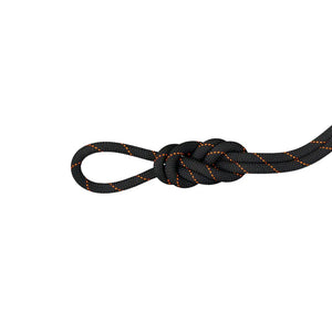 Mammut Climbing Rope 9.9 Gym Workhorse Classic Rope