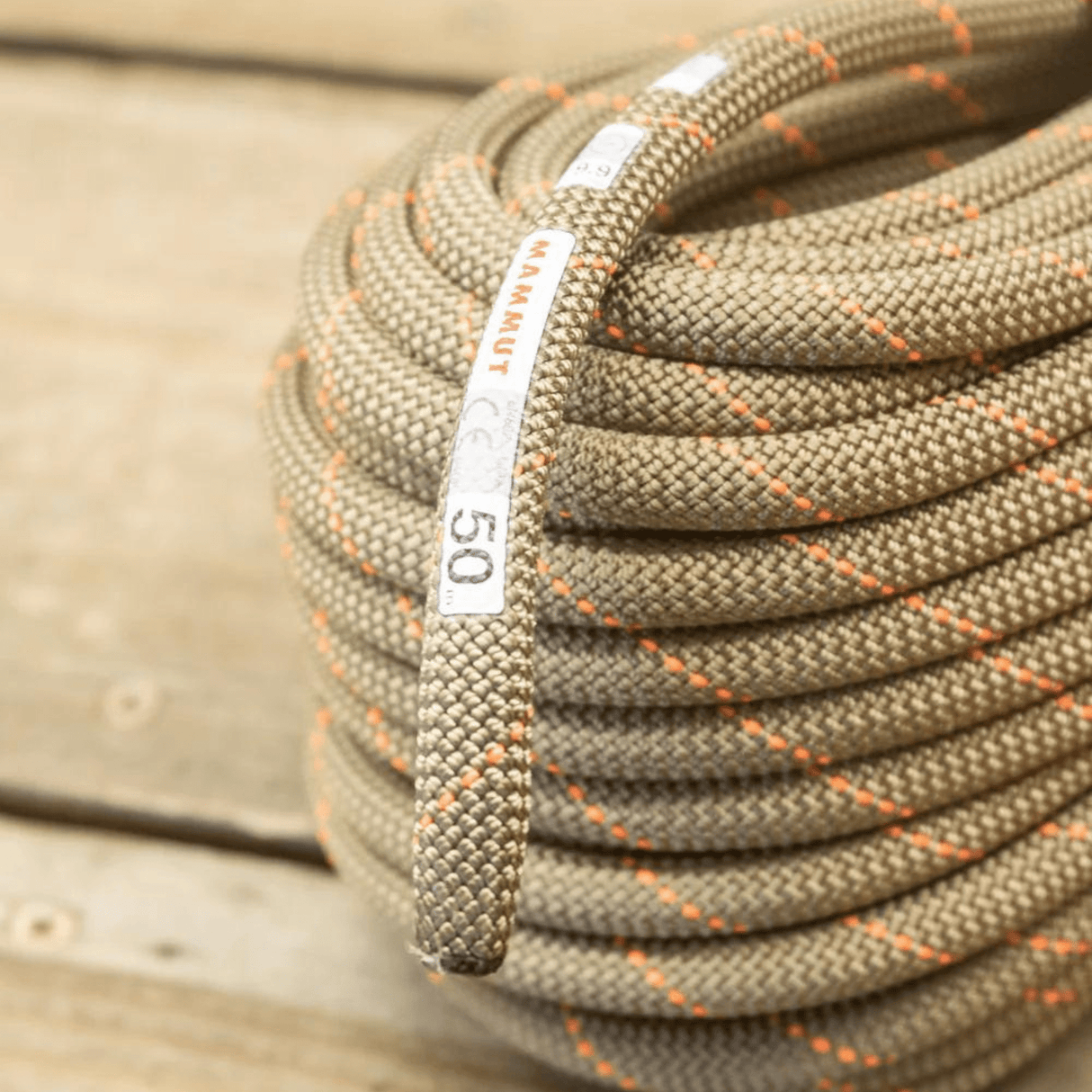 Mammut Climbing Rope 9.9 Gym Workhorse Dry Rope