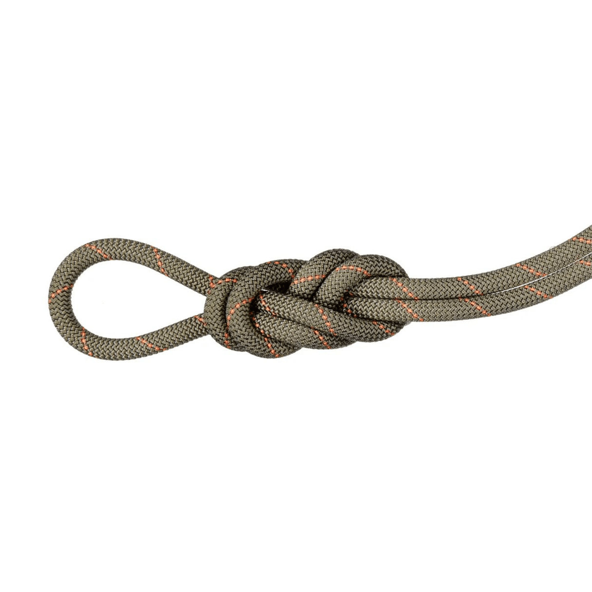 Mammut Climbing Rope 9.9 Gym Workhorse Dry Rope