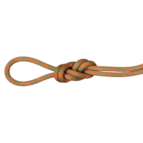 Mammut Climbing Rope Boa/Safety Orange / 30m 8.0 Alpine Dry Rope 2010-04350-11240-1030