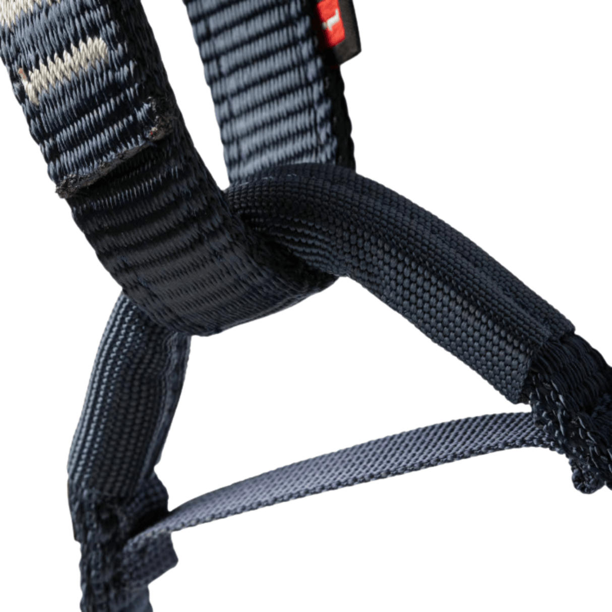 Mammut Harness Ophir Kids