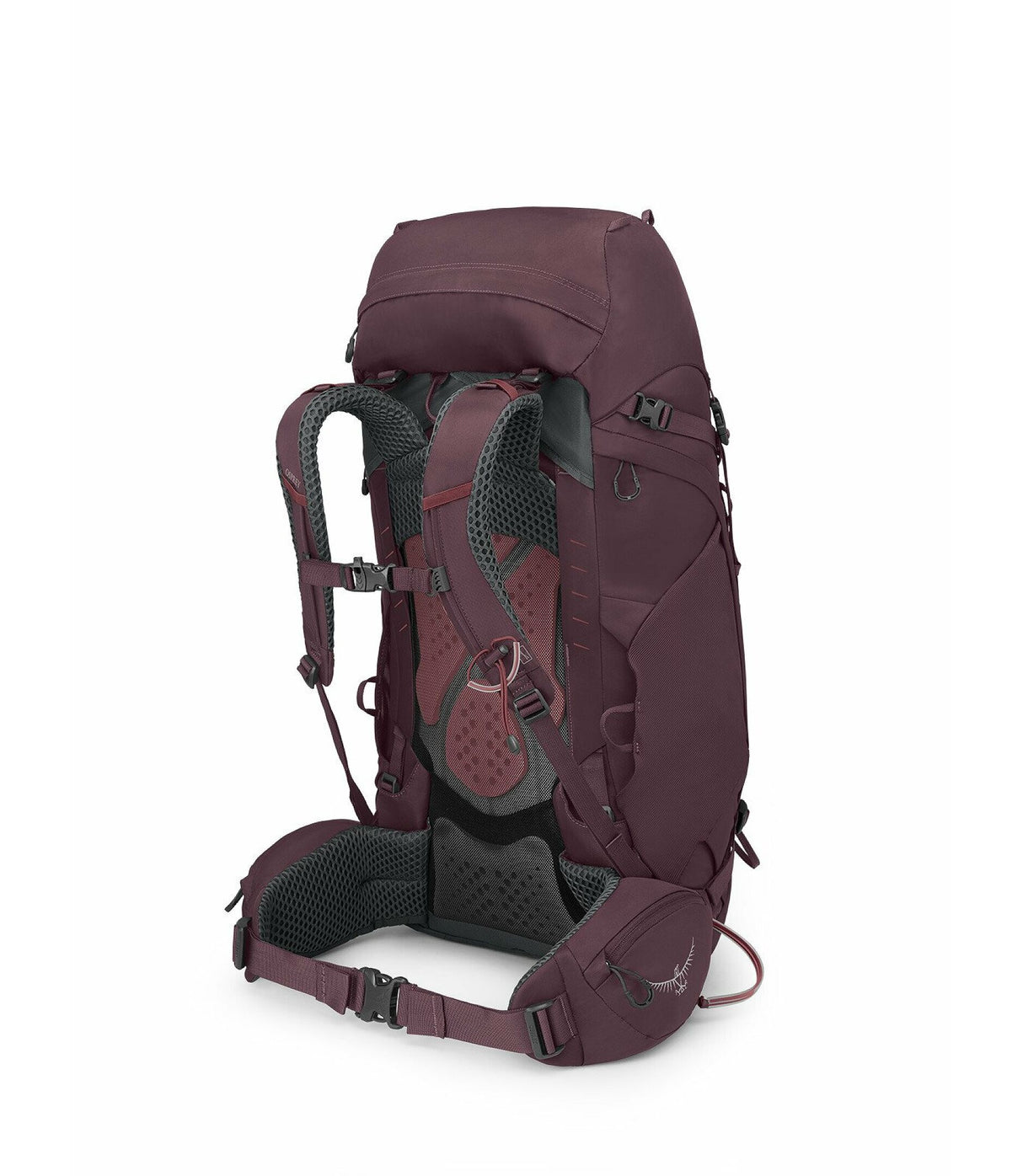 Osprey Backpacks Elderberry Purple / WM/L Kyte 48 Womens Backpack 10004785