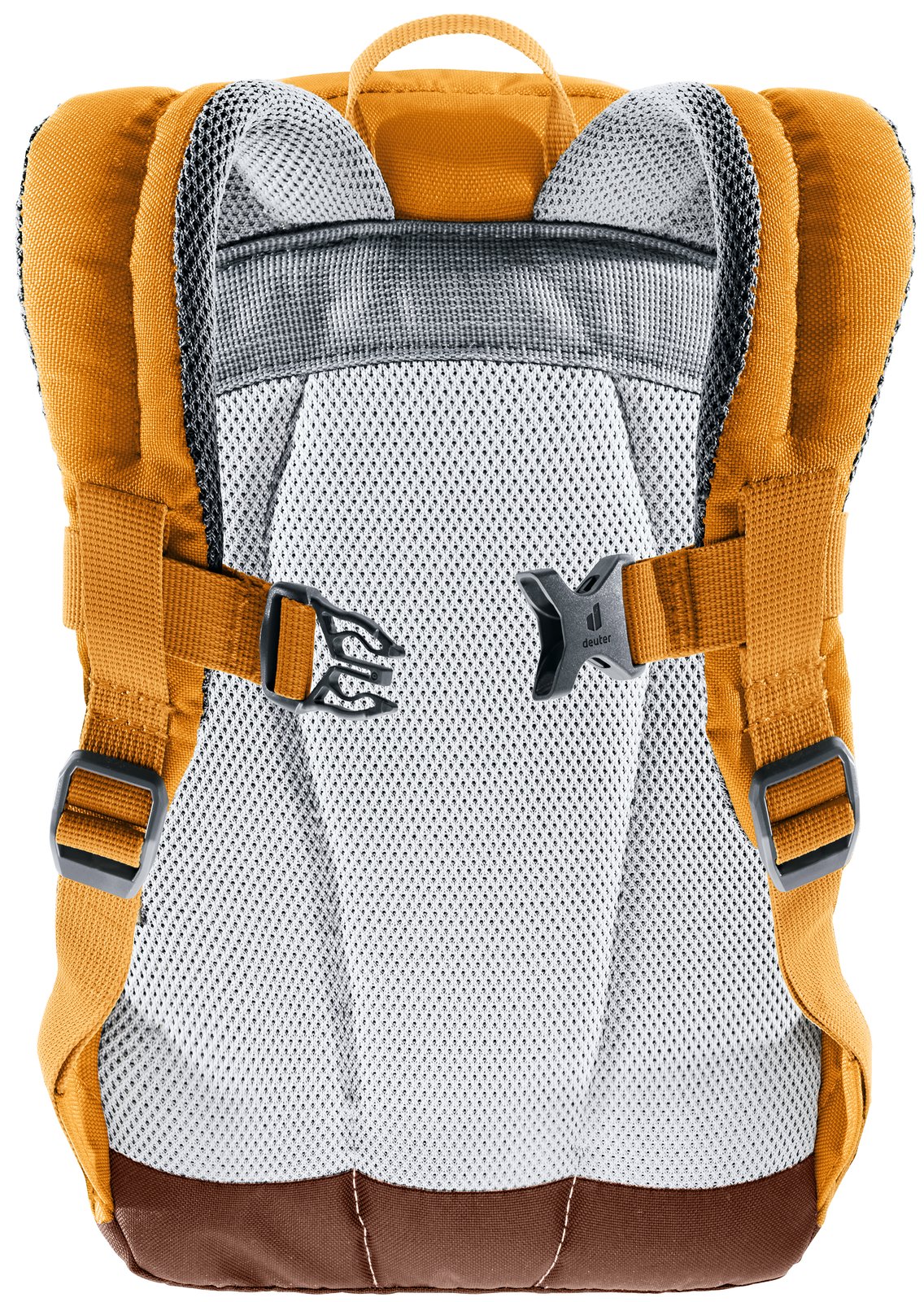 Back of the Deuter Pico showing the padded back panel and sternum strap