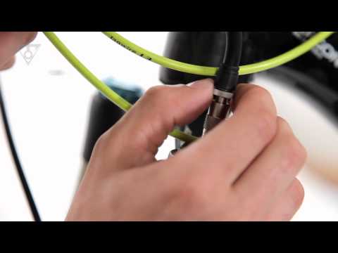 Pocket Shock DXG