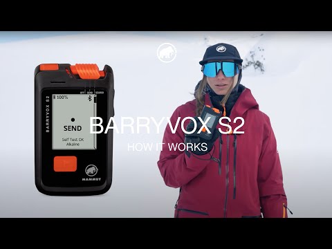 Barryvox S2 Pro Light 280 Package