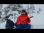 Via Carbon Ski Poles