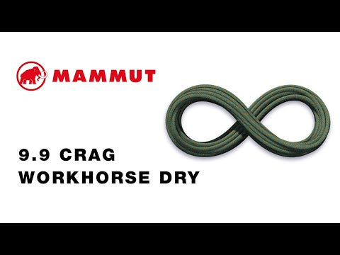 9.9 Gym Workhorse Dry Rope