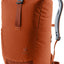 Deuter Stepout 22 in Copper Oak, burnt orange roll-top backpack