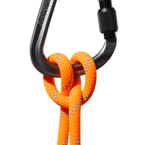 mammut Climbing Rope 9.5 Alpine Dry