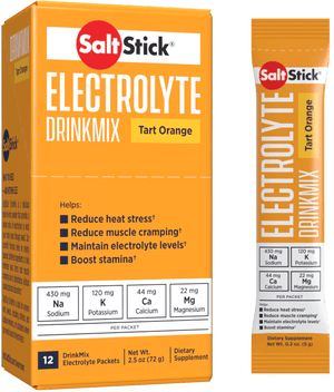 SaltStick Energy Chews DrinkMix